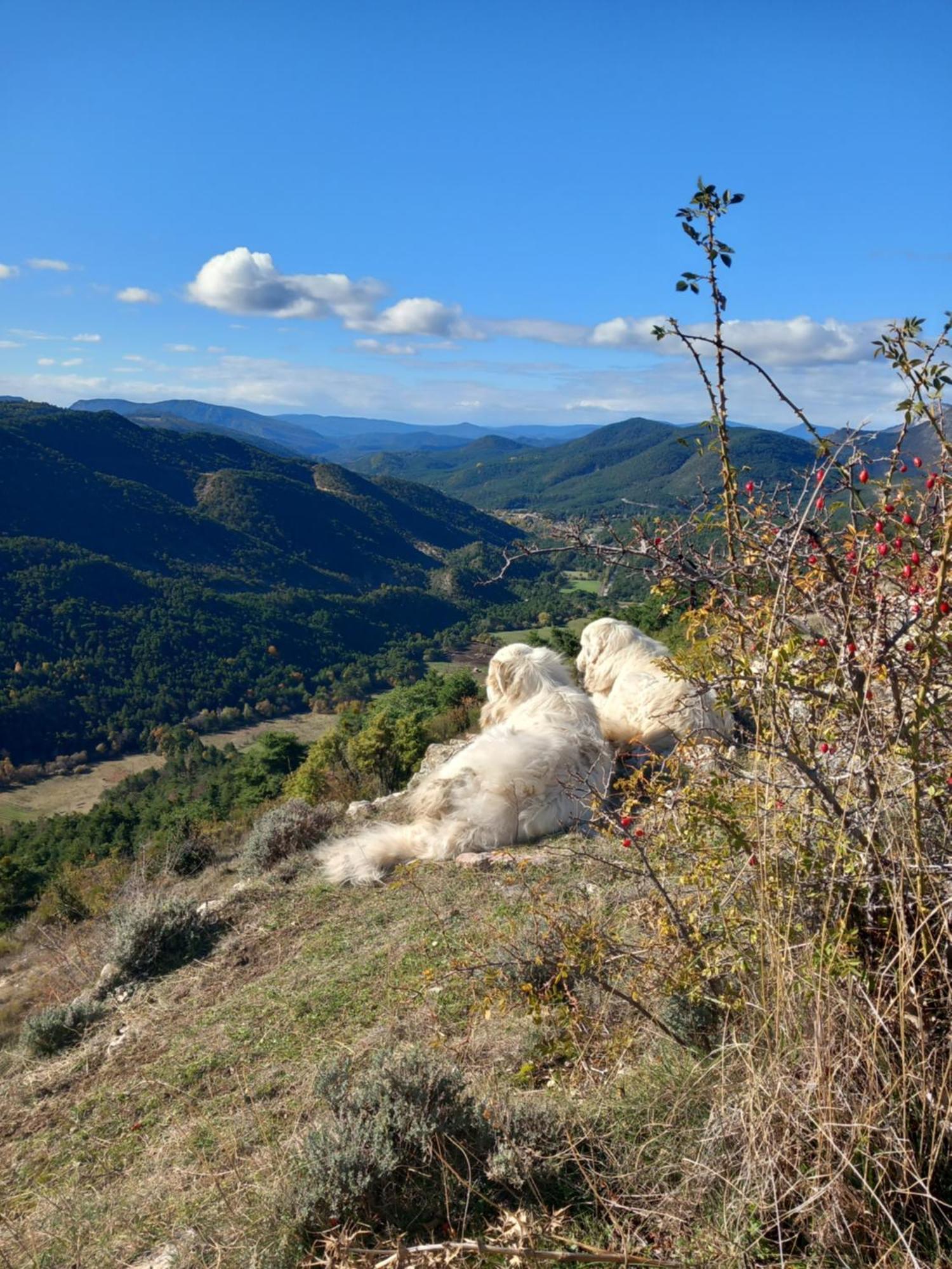 Gite La Mountagna Peyroules Екстериор снимка